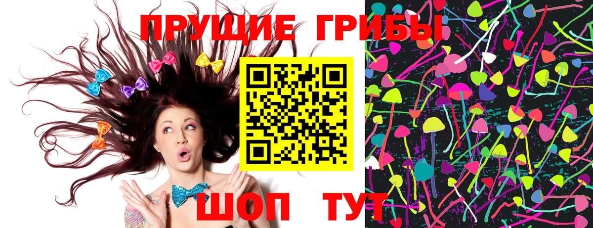 Галлюциногенные грибы Cubensis Топки